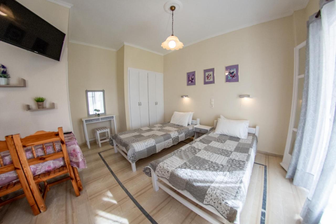 Eleonas Holiday Home Apartment 에이지오스스테파노스 외부 사진